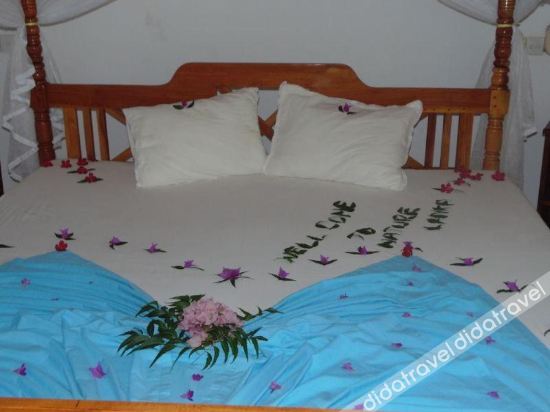 Nature Lanka Ayurveda Health Resort