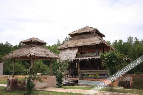Amazon Bungalow photo 3