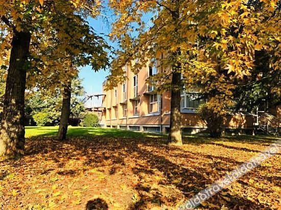 listing card gallery