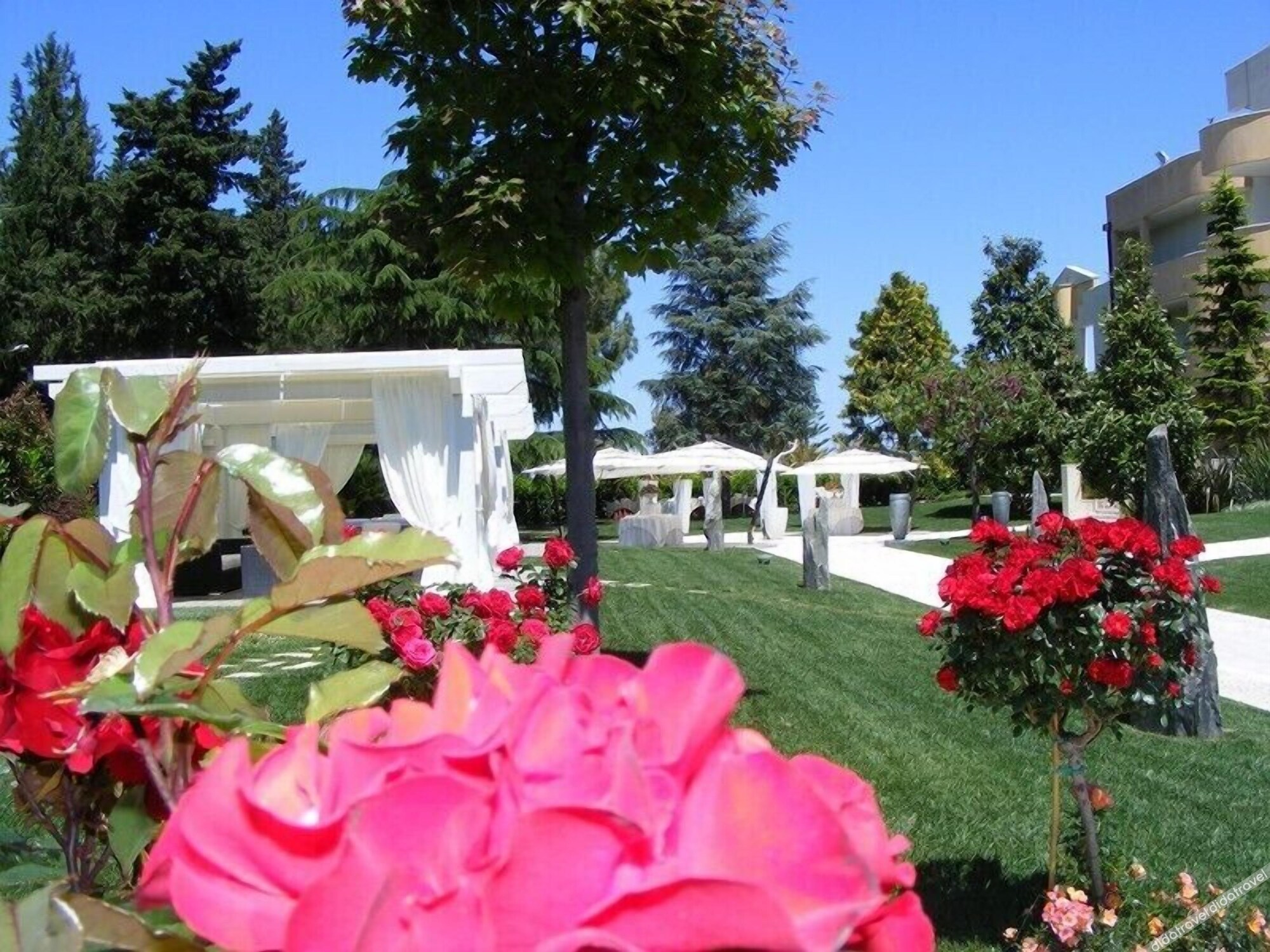 Hotel Villa Cirigliano photo 3