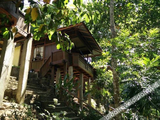 Mamaling Resort Bunaken photo 2
