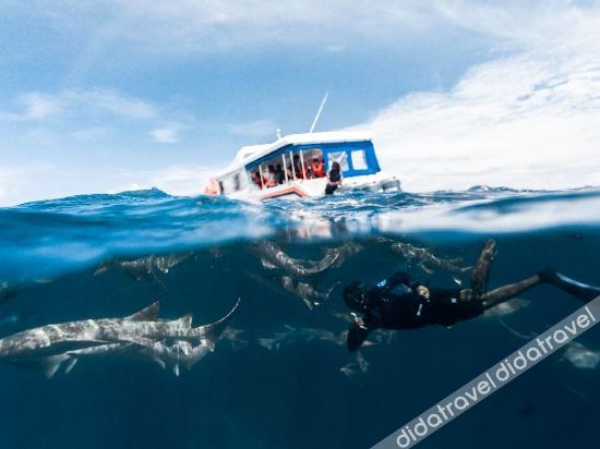 Fitness & Recreational Facilities