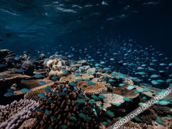 Fitness & Recreational Facilities