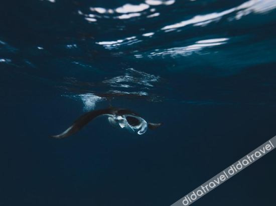 Fitness & Recreational Facilities