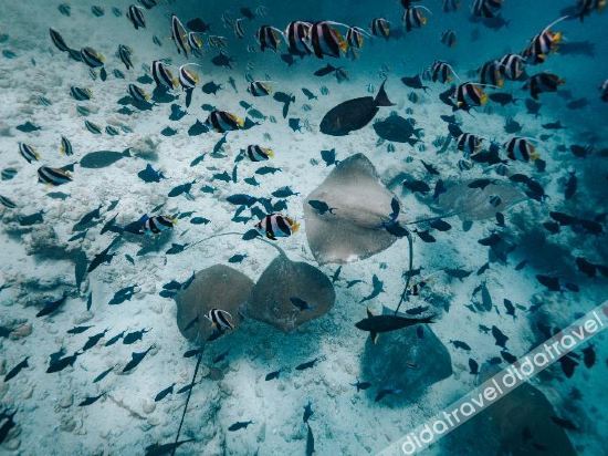 Fitness & Recreational Facilities