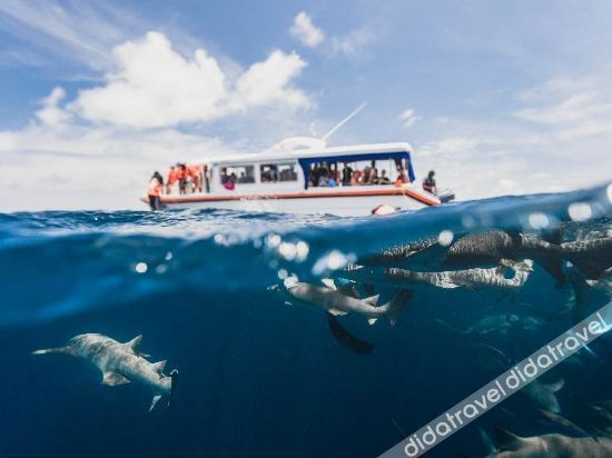 Fitness & Recreational Facilities