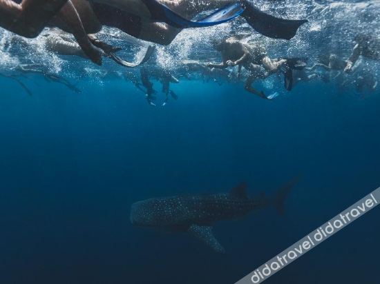 Fitness & Recreational Facilities