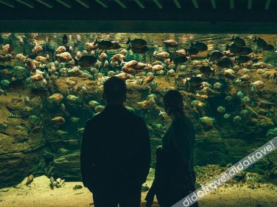 Fitness & Recreational Facilities