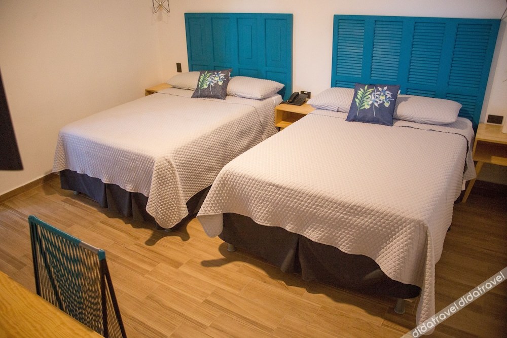 单人房, 2 张双人床房