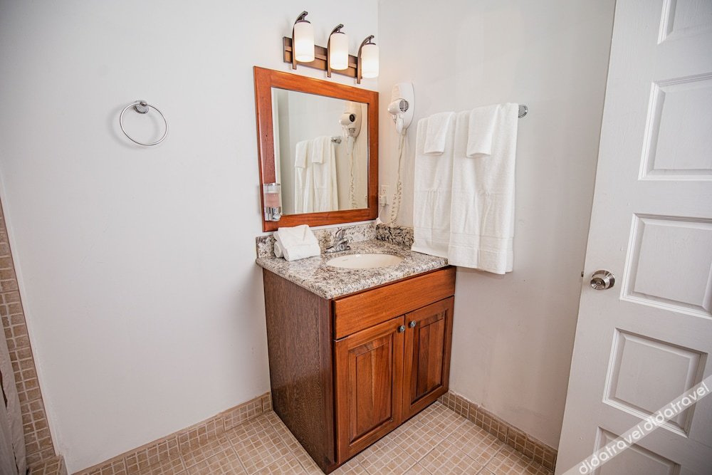 豪华别墅，1张特大床，禁烟，池景