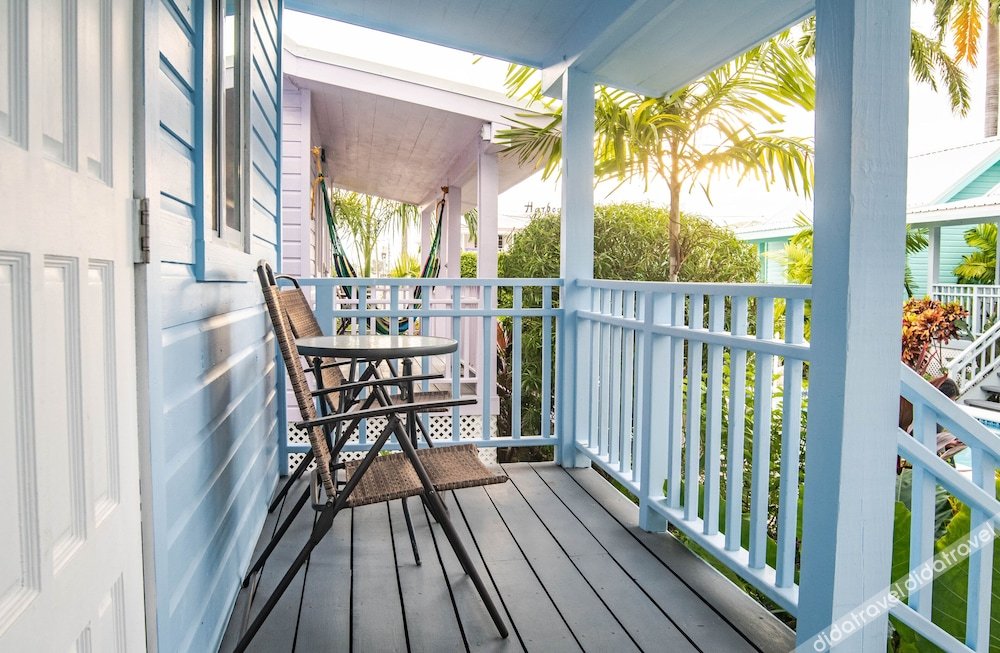 豪华别墅，1张特大床，禁烟，池景