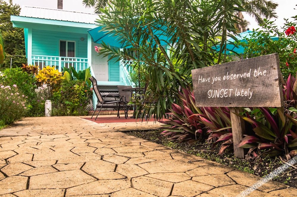 豪华别墅，1张特大床，禁烟，池景