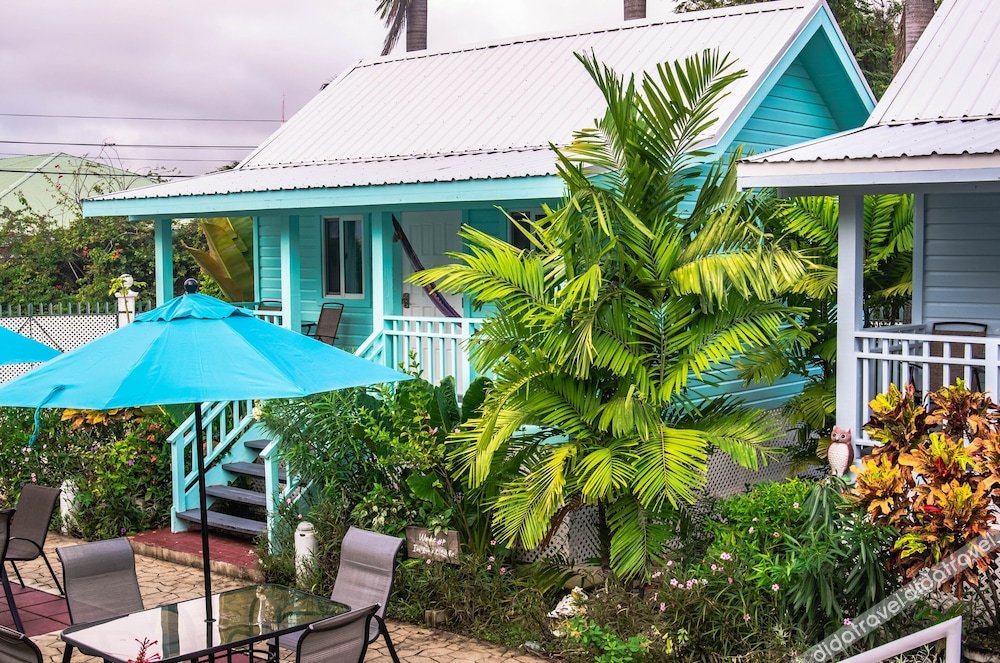 豪华别墅，1张特大床，禁烟，池景