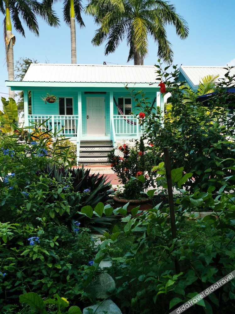 豪华别墅，1张特大床，禁烟，池景