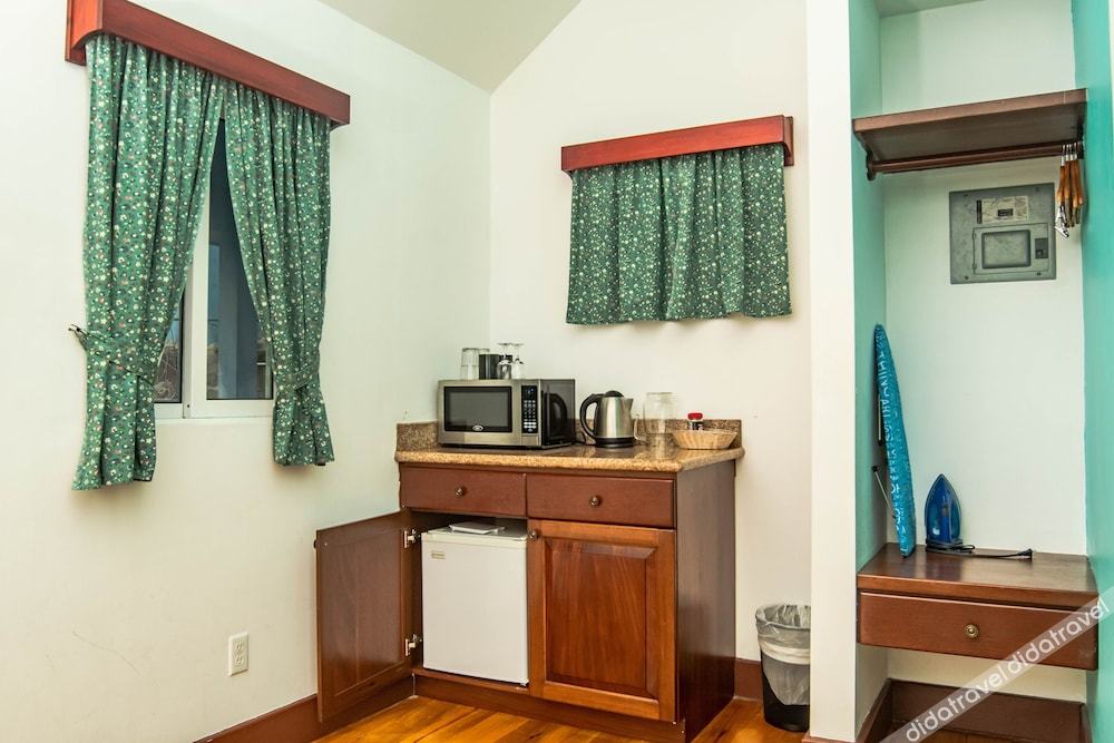 豪华别墅，1张特大床，禁烟，池景