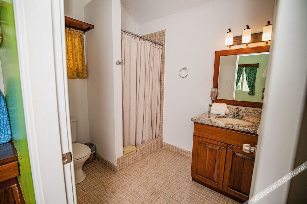 豪华别墅，1张特大床，禁烟，池景