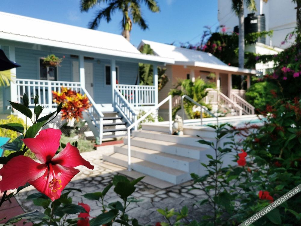 豪华别墅，1张特大床，禁烟，池景