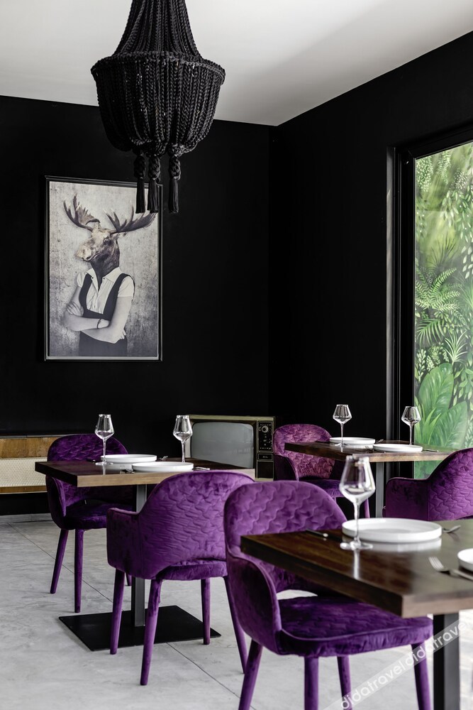 Jungle Lodge Boutique Hotel Adults Only photo 4