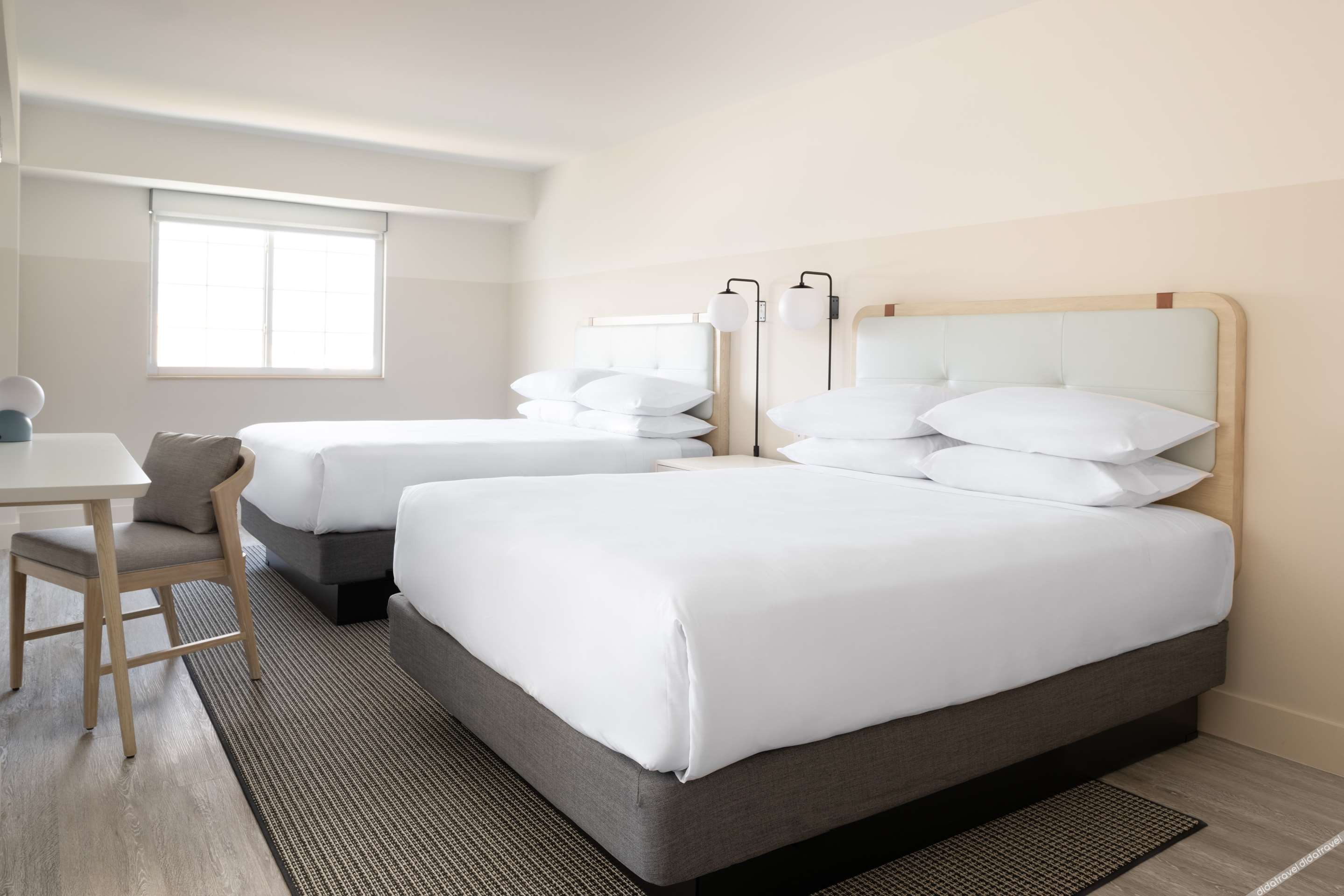 一室公寓 - 带2张大床