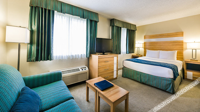 大床一室公寓a<1>