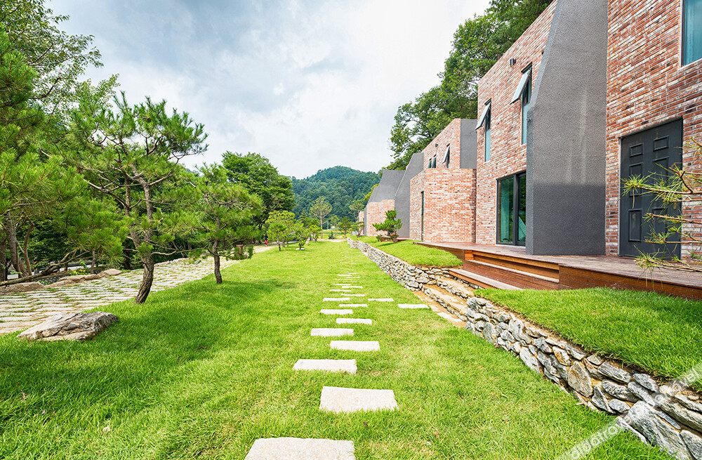 Gapyeong The Q 24 Poolvilla Pension photo 2