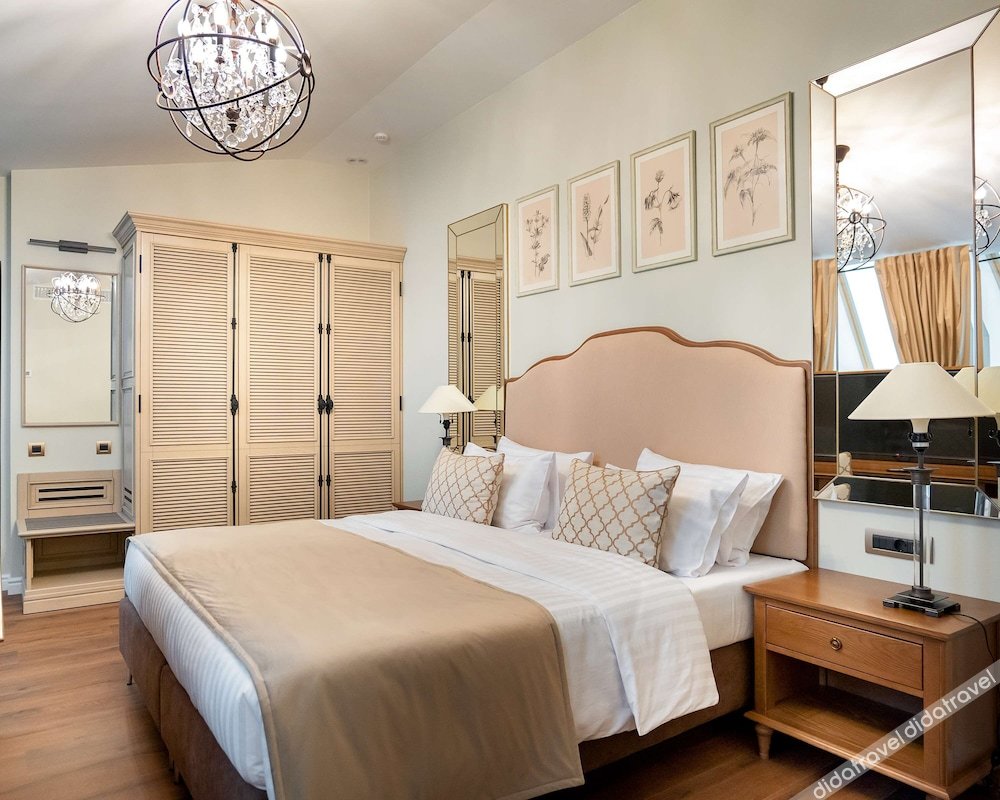 豪华套房（1张特大床，带浴缸、客厅）