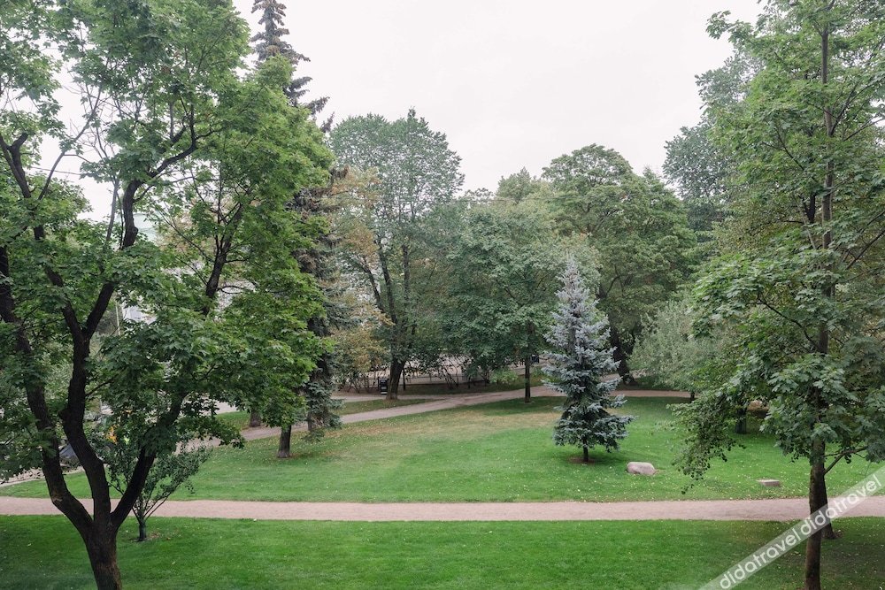 高级房, 1 张特大床