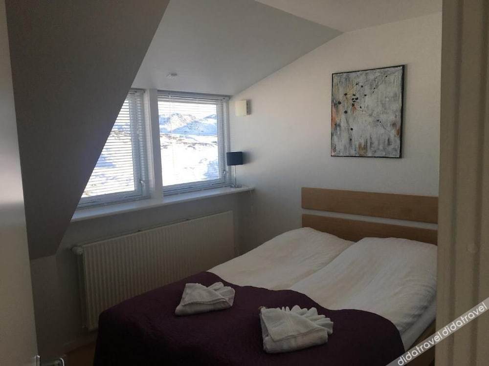 两卧室顶层公寓