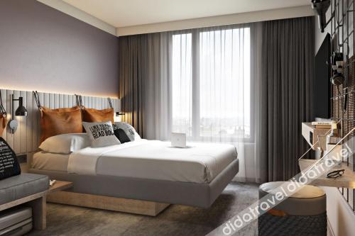 精选双人房，客房，2张单人床