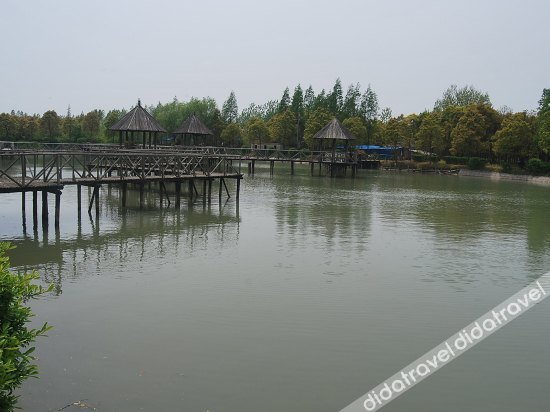 Shinan Resort photo 5