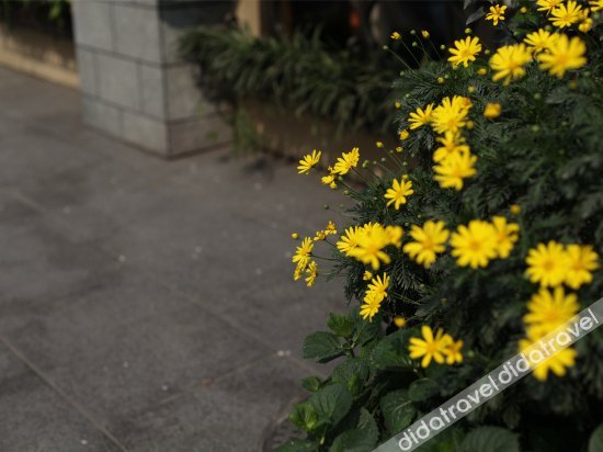 私享家 盛铂仕丹度假公寓(成都鹭岛店) photo 4