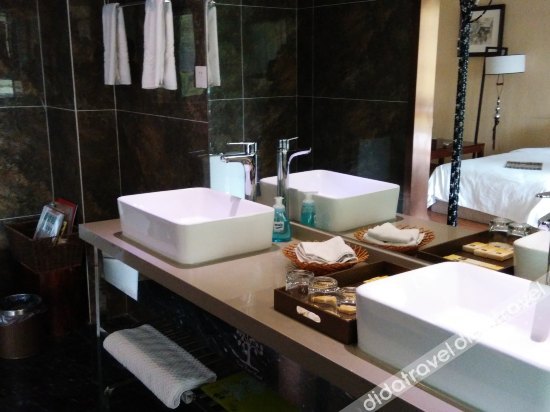 REST TREE HOTEL DUJIANGYAN photo 3