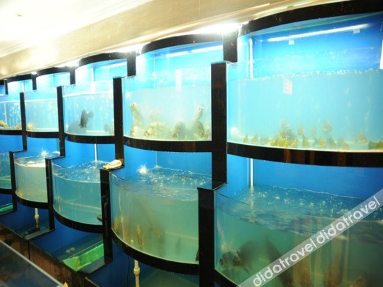 凤阳帝城酒店 photo 5