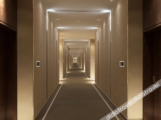 开化国际大酒店 photo 4