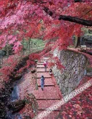 莫干山凤祥山庄 photo 4